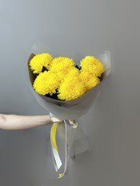 Желтые хризантемы