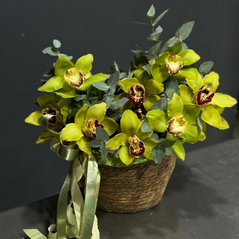 Корзина с зелеными орхидеями, корзина с зелеными орхидеями