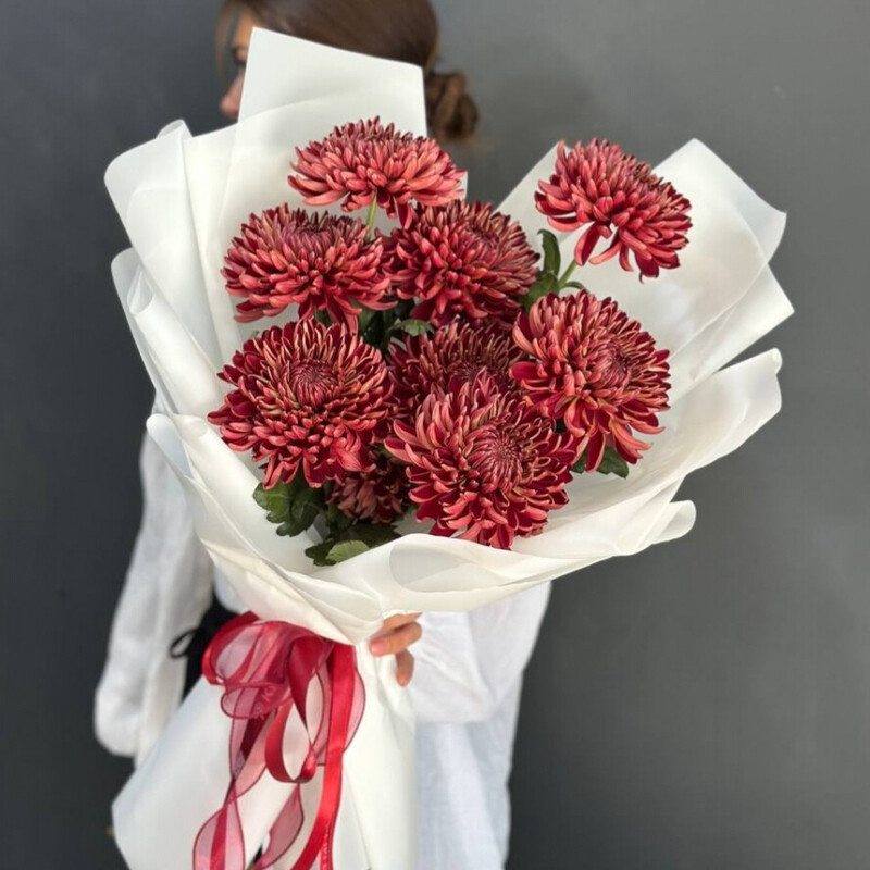 Букет 9 шоколадных хризантем, букет 9 шоколадных хризантем