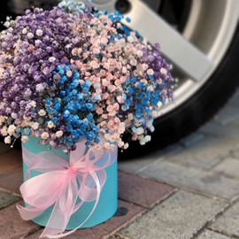 Коробка с гипсофилой "Звезда"