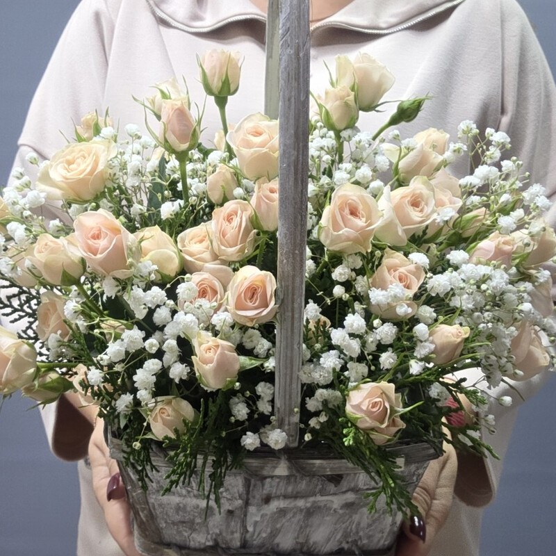 Легкость, стандартный