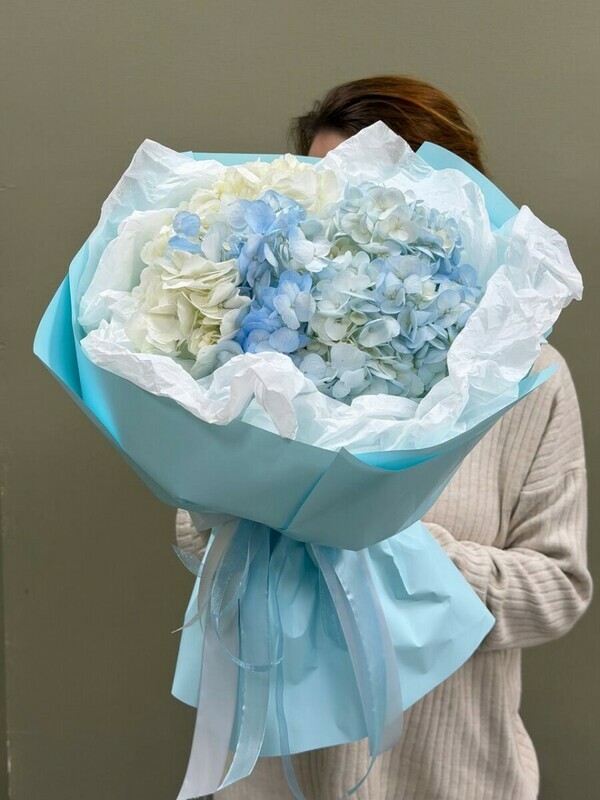 Buket iz 3 gortenzij, standart