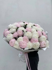 45 одноголовых хризантем