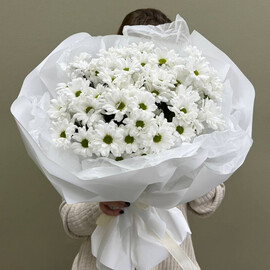 Buket iz 11 hrizantem