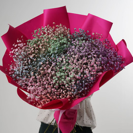 Buket raduzhnih gipsofil