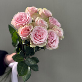 9 importnih roz pod lentu