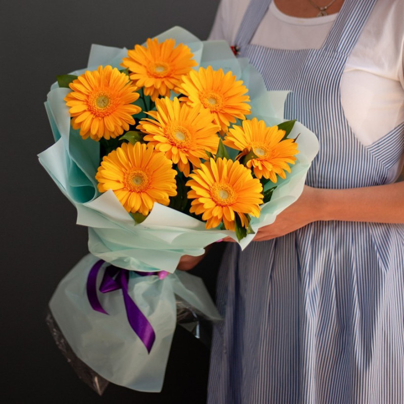 Kraski oseni, standart