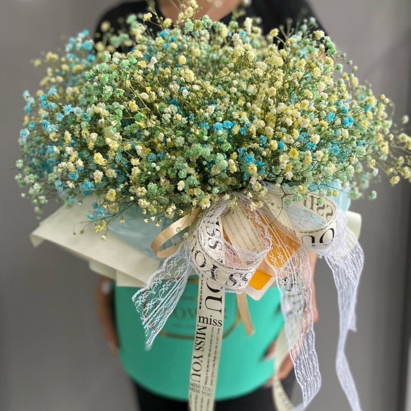 Raduzhnaya gipsofila, gipsofila