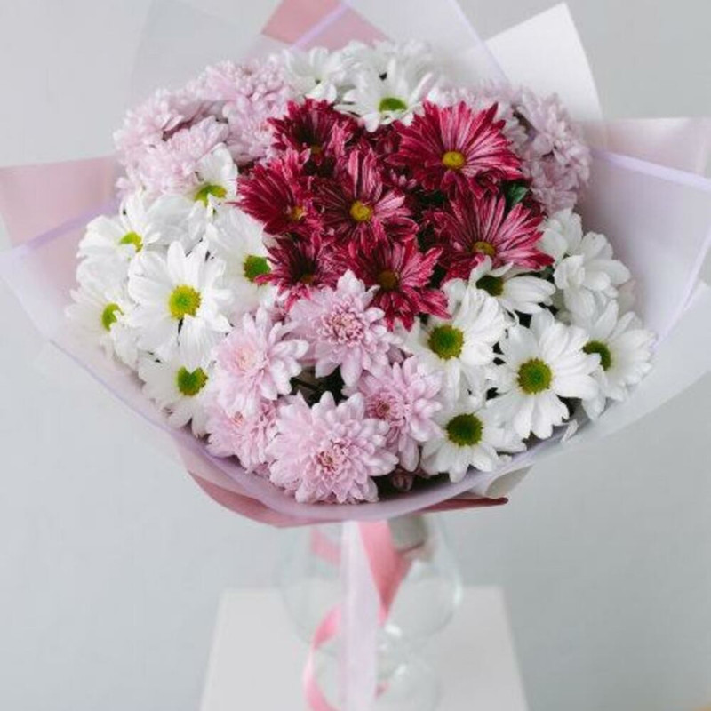 Ottenki rozovogo, hrizantema