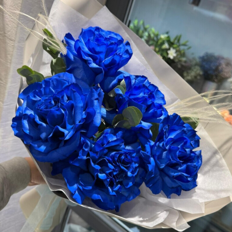 Фиолет, уменьшенный