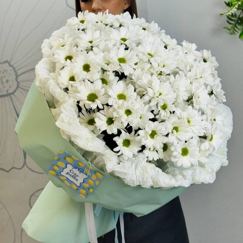 Ромашковый бум, стандартный