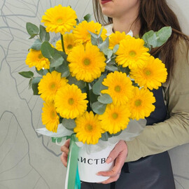 Kompozitciya «Solnechnie zajchiki»