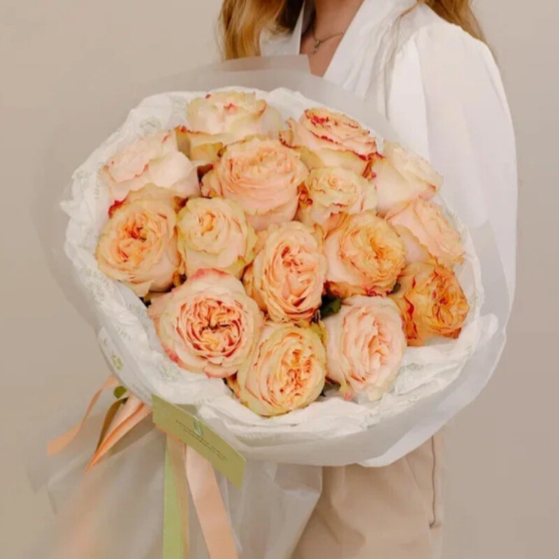 BUKET PRINTCESSA, standart