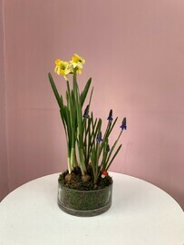 Мини садик 6