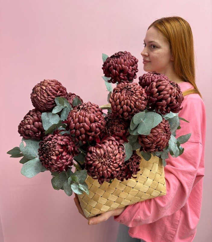 Korzina s hrizantemami bigudi «bordovoe Bordo», standart