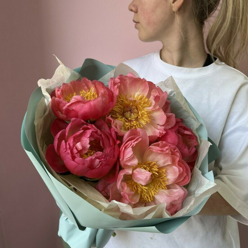 Пионы Коралл Шарм, стандартный