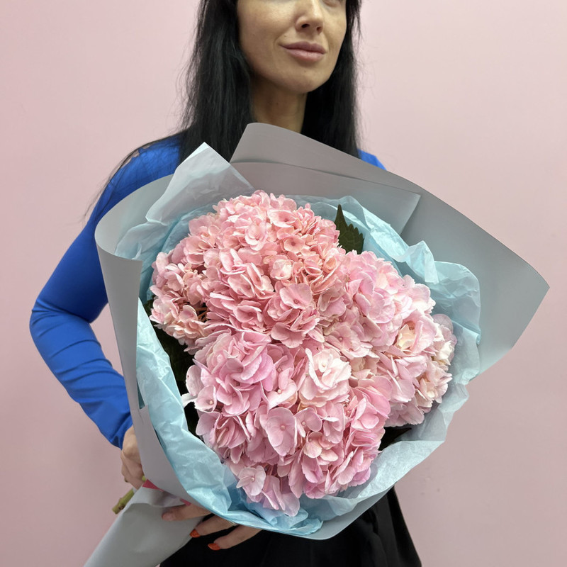 Букет из розовых гортензий, стандартный