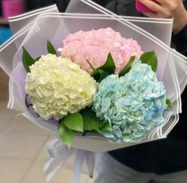 Pirozhenka iz treh gortenzij