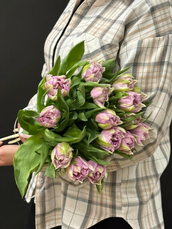 Sirenevie Pionovidnie tyul_pani, sirenevie pionovidnie tyul_pani