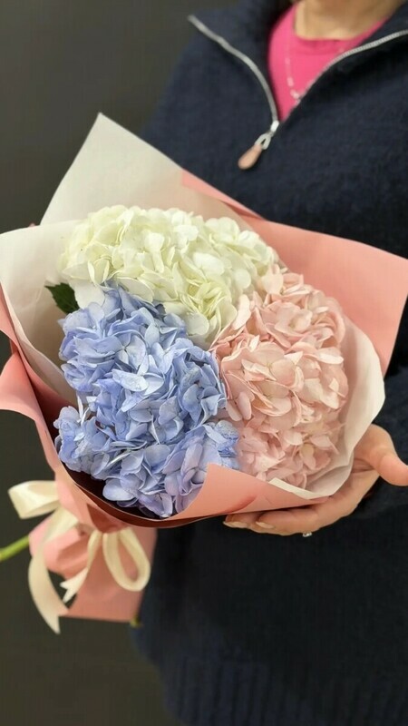 Buket iz treh gortenzij, buket iz treh gortenzij