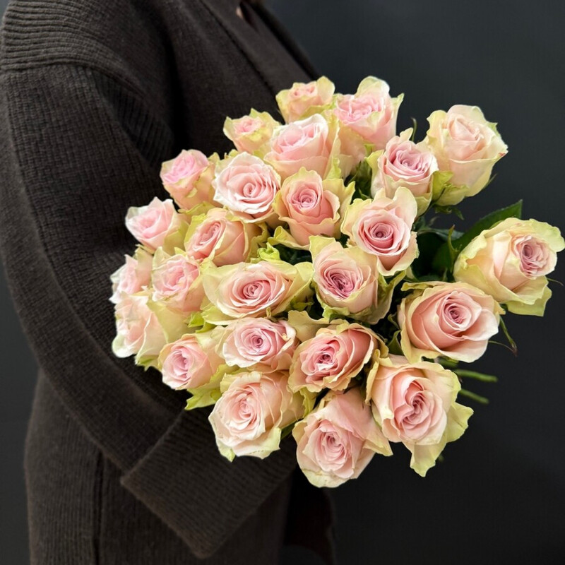 25 nezhno-rozovih roz pod lentu, 25 nezhno-rozovih roz pod lentu