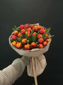Букет из 25 тюльпанов 