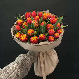 Букет из 25 тюльпанов 