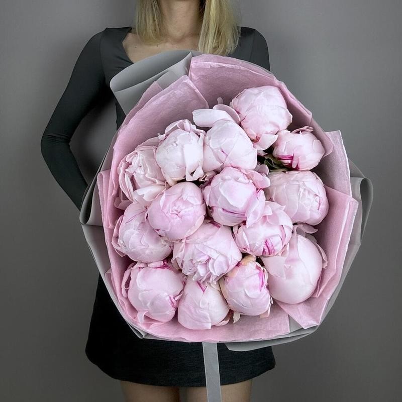 Mono Pioni, 15 rozovih pionov