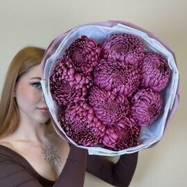 Mono hrizantema bigudi 9