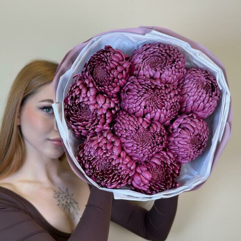 Mono hrizantema bigudi 9, 9 hrizantem bigudi