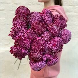 Моно хризантема бигуди