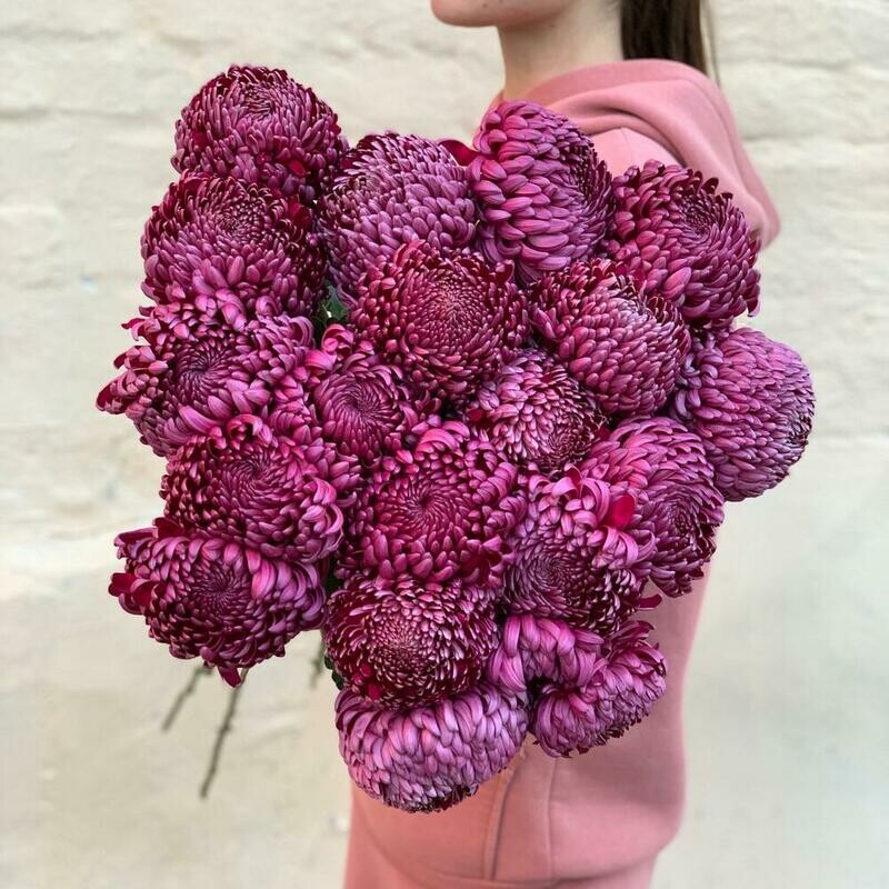 Моно хризантема бигуди, 19 штук