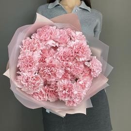 Моно розовые гвоздики