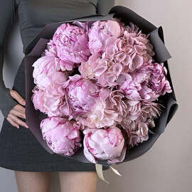 Duo of Peonies and Hydrangeas