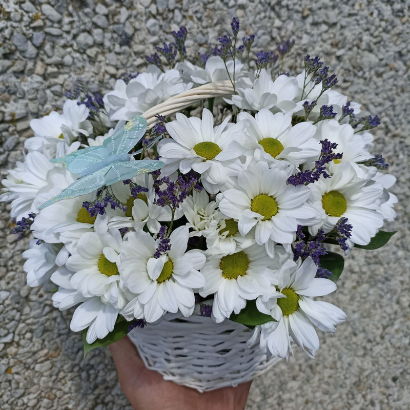 Romashkovoe schast_e, standart