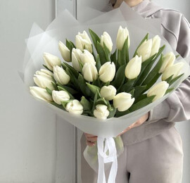 Букет белых тюльпанов 25 шт
