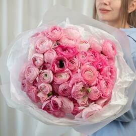 Buket iz 51 rozovogo ranunkulyusa