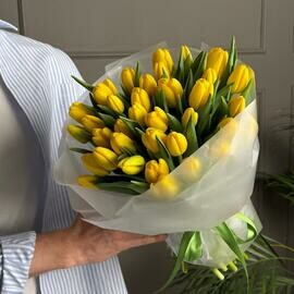 Букет из 35 желтых тюльпанов в матовой пленке