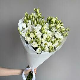 Buket iz 11 belih liziantusov