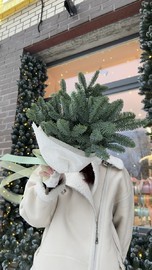 Zimnij buket iz elochki