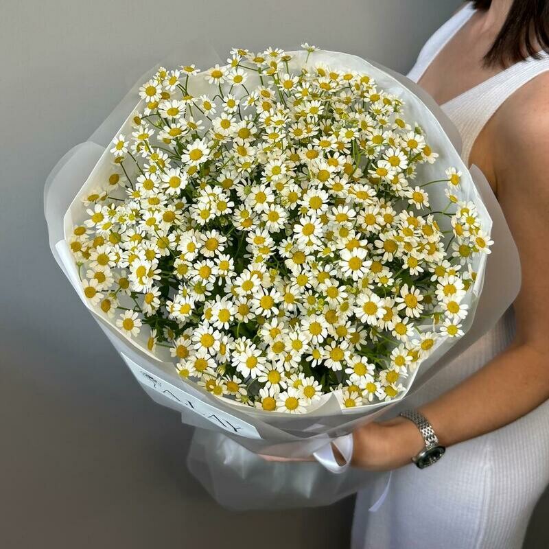 Букет из 17 ромашек в матовой пленке, 17 шт