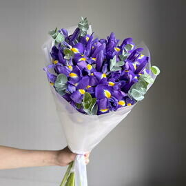 Buket iz 15 fioletovih irisov s evkaliptom