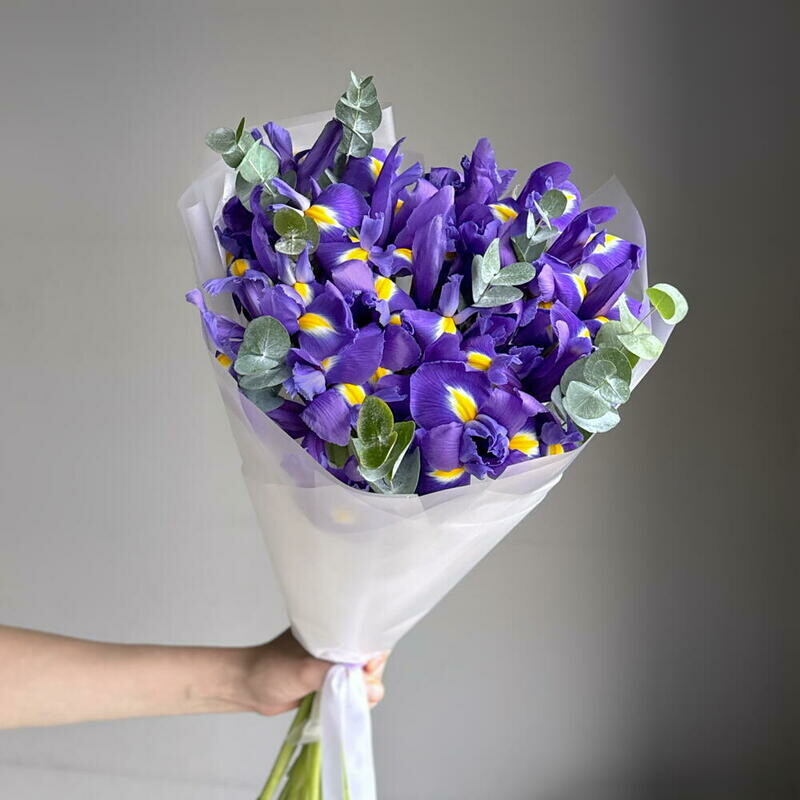 Букет из 15 фиолетовых ирисов с эвкалиптом, 15 шт