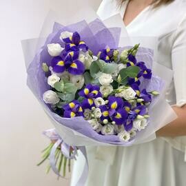 Buket iz fioletovih irisov i belih dustom