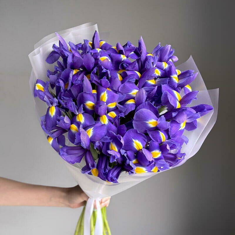 Букет из 25 фиолетовых ирисов в упаковке, 25 шт