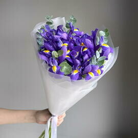 Buket iz 11 fioletovih irisov s evkaliptom