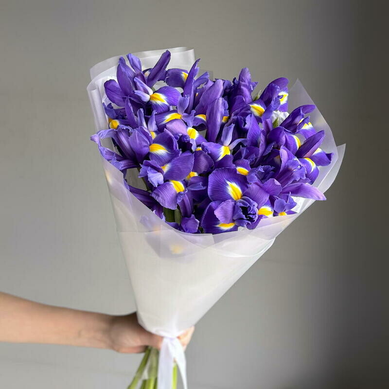Букет из 15 фиолетовых ирисов в упаковке, 15 шт