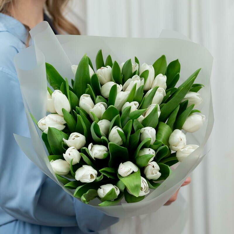 Букет из 35 белых тюльпанов в матовой пленке, 35 шт