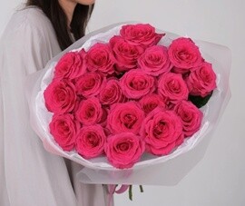 Monobuket iz 21 sht malinovih roz