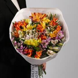 YArkaya al_stromeriya raznotcvetnaya